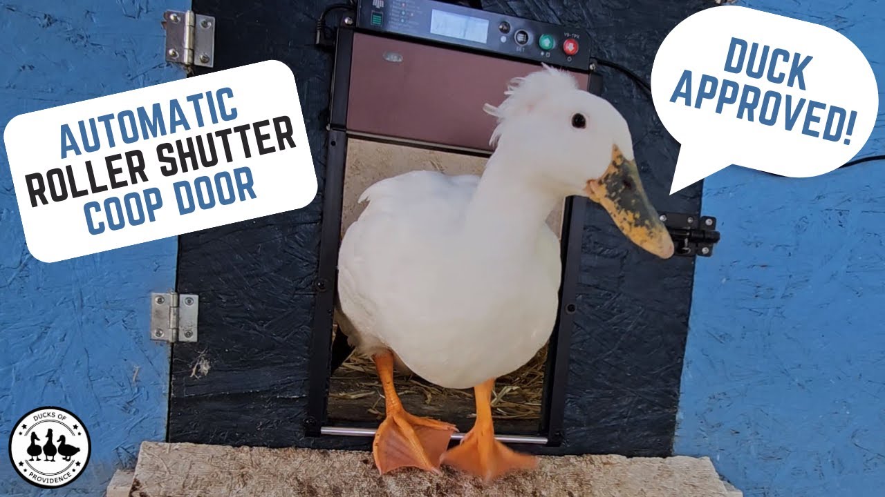 Product Review: Automatic Roller Shutter Coop Door