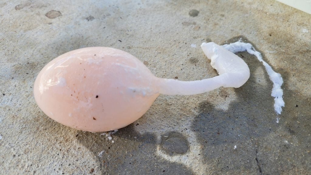 Soft-shelled duck egg, a common duck health issue