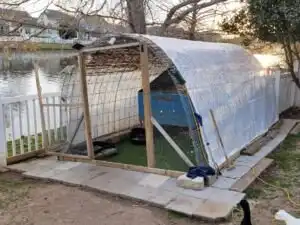 duck housing - hoop coop as run