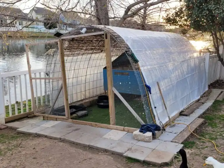 duck housing - hoop coop as run