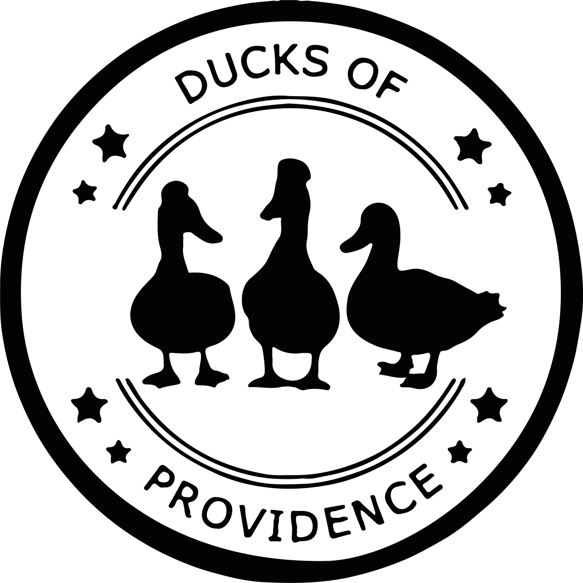 Ducks of Providence