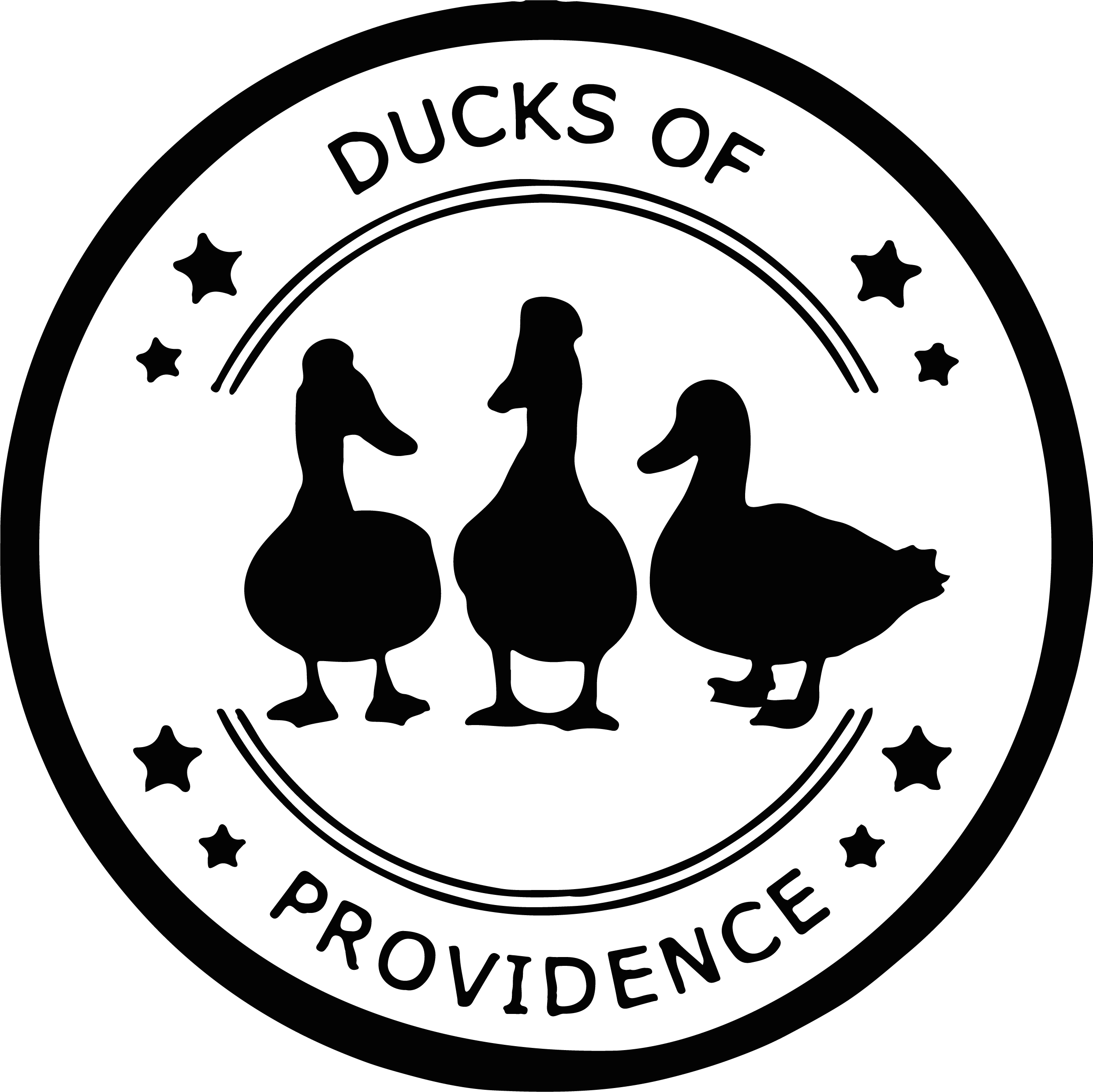 Ducks of Providence