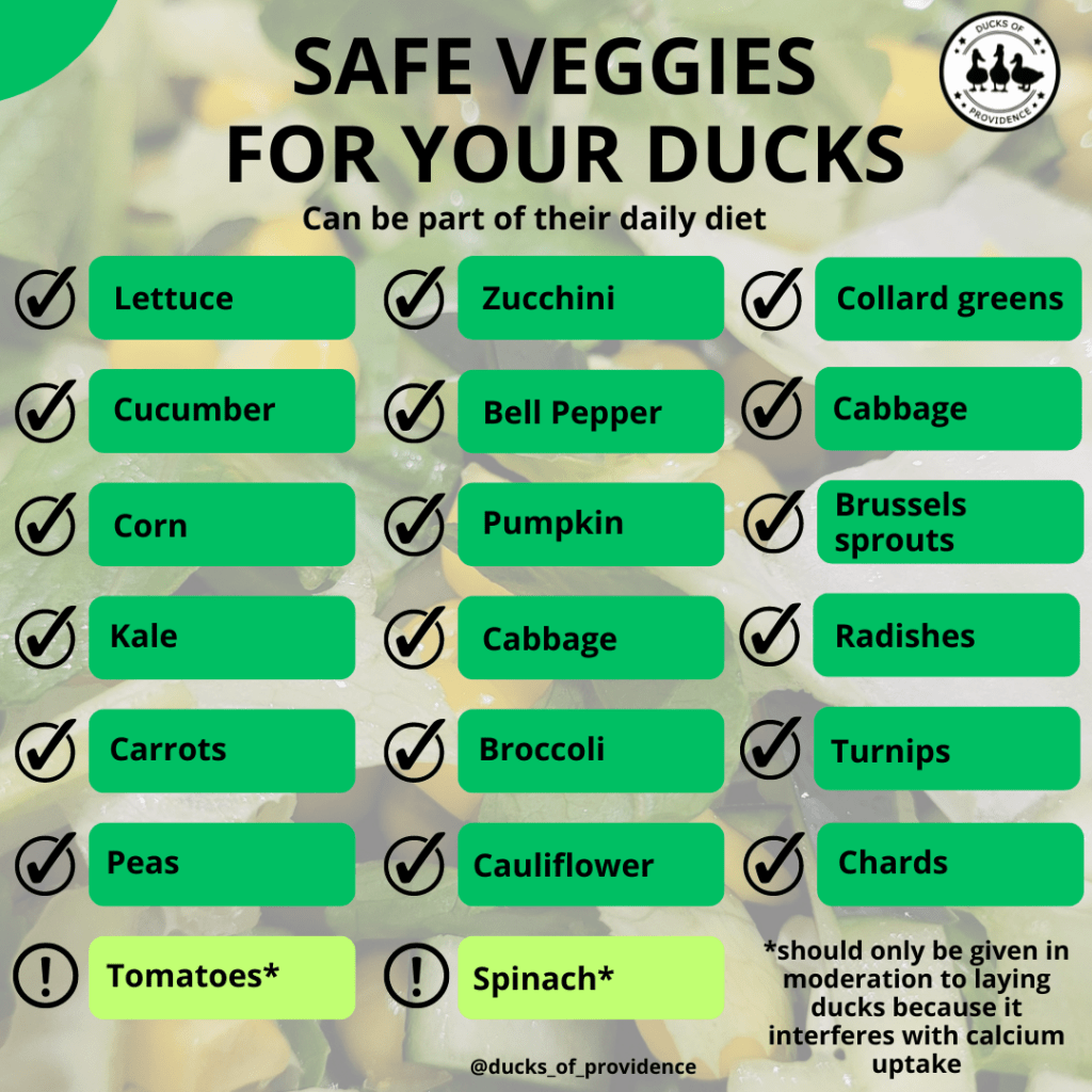 Infographic - Safe Veggies for Ducks