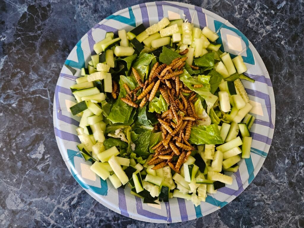 Veggies and grubs for poultry