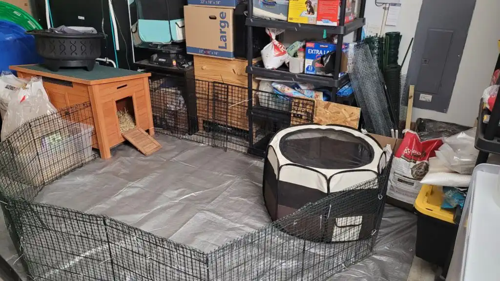 Playpen for temporary duck shelter