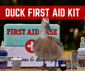 Duck First Aid Kit