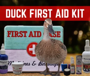 Duck First Aid Kit