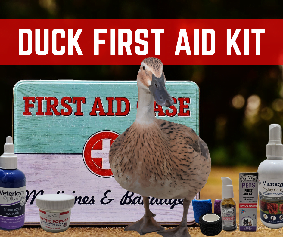 29 Must have Items for Your Pet Duck First Aid Kit Ducks of