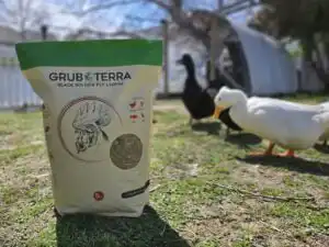 GrubTerra Grubs