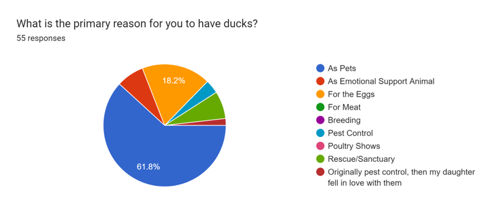 Survey on Duck Care Results