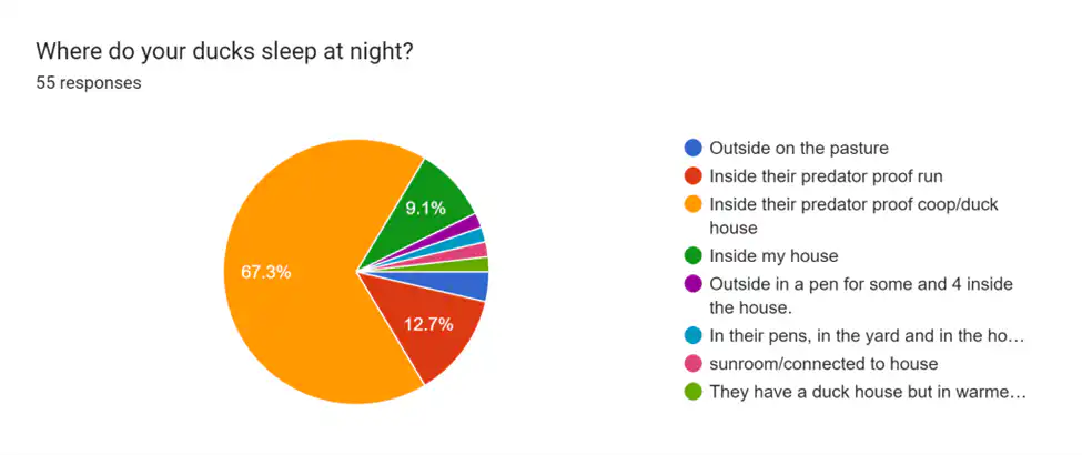 Survey on Duck Care Results