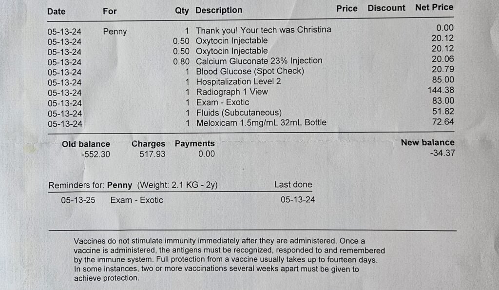 The Invoice from our Vet