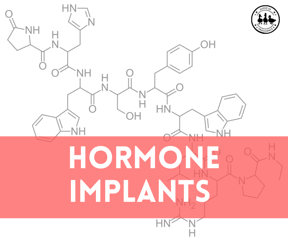 Hormone Implants for Ducks