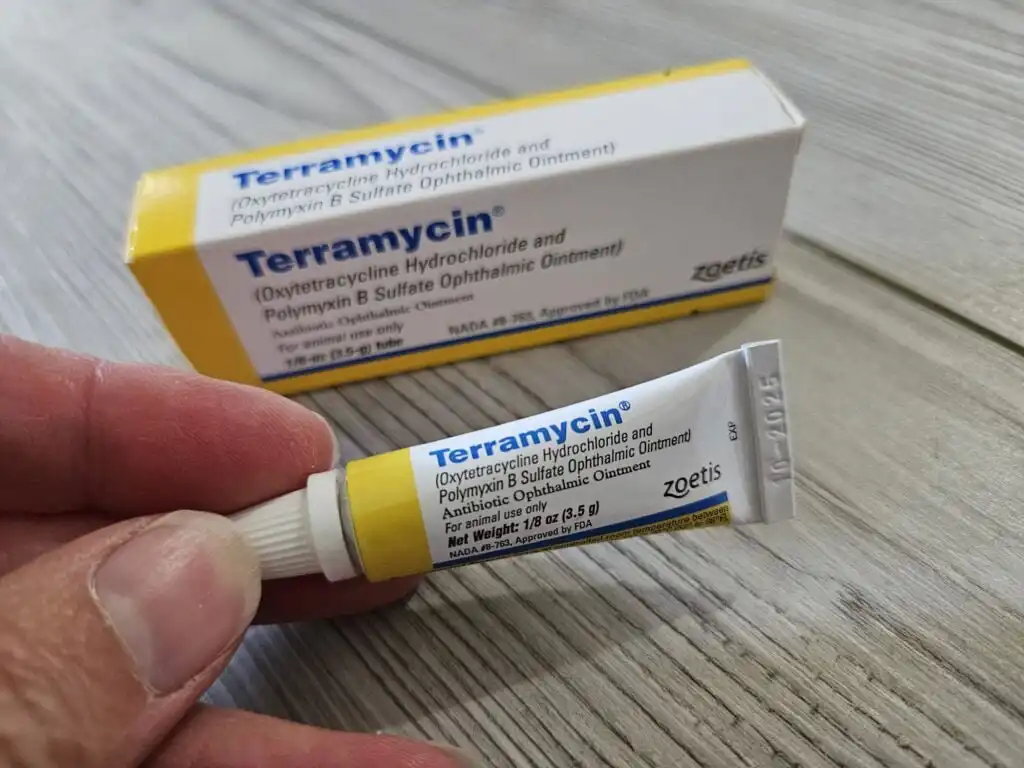 Terramycin Antibiotic Ointment