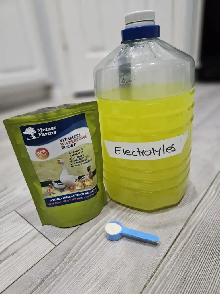 electrolytes and vitamins