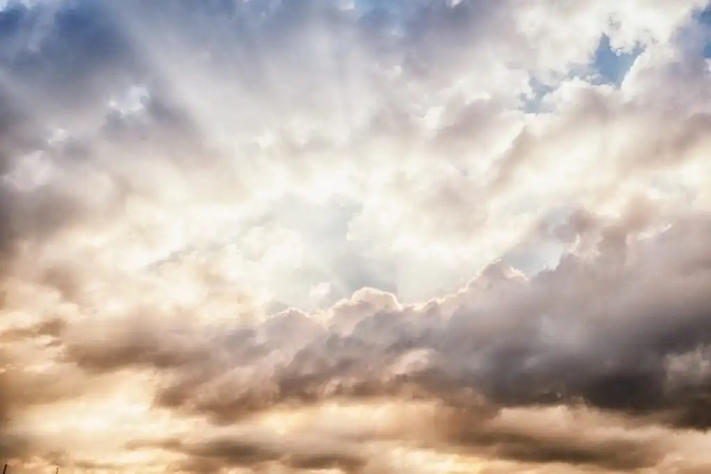 Handling Your Duck's Passing: Coping with Loss can be hard. 