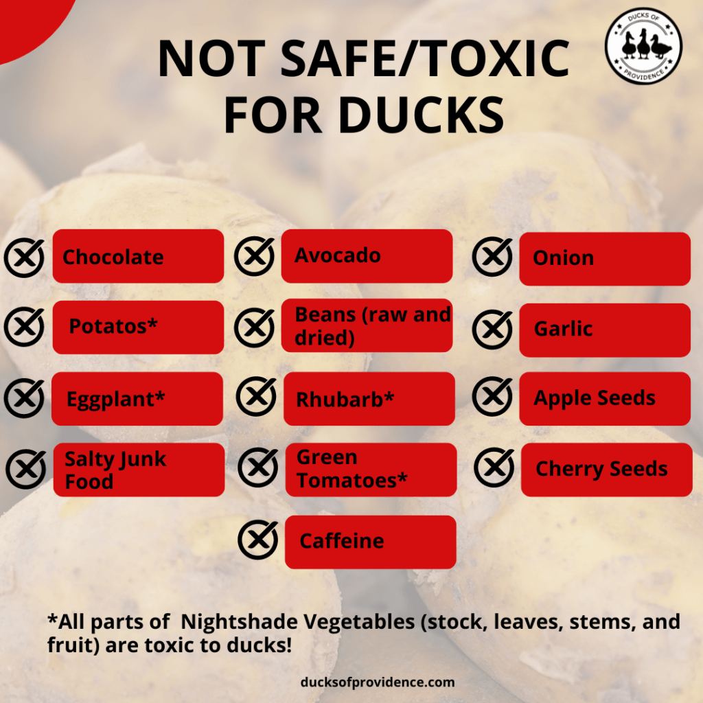 Infographic: not safe for ducks to eat