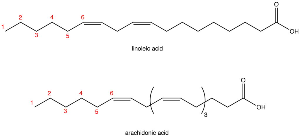 Omega 6
