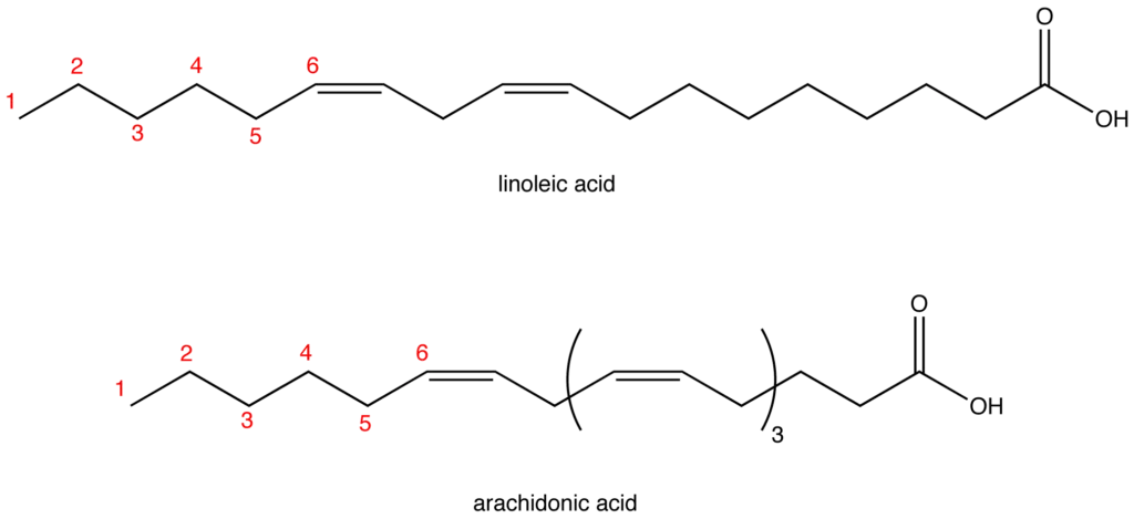 Omega 6