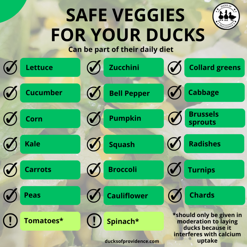 healthy duck snacks Infographic: safe veggies for ducks