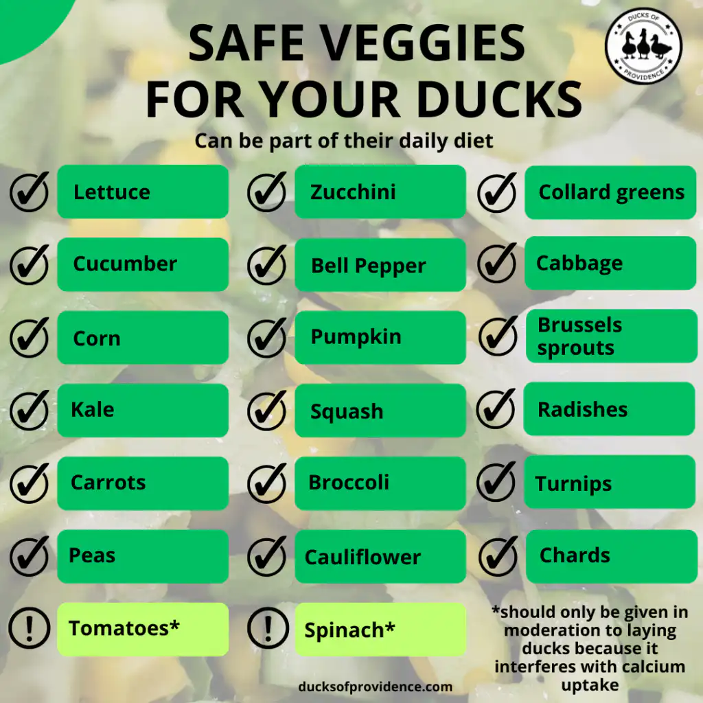 foods ducks can and can't eat - safe veggies for ducks