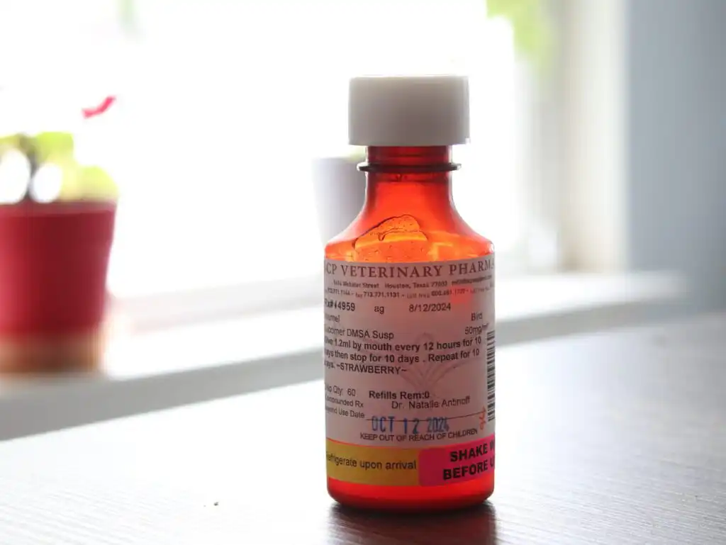 Chelating Agent for Ducks: Succimer DMSA Suspension