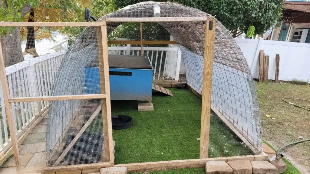 duck run with artificial turf