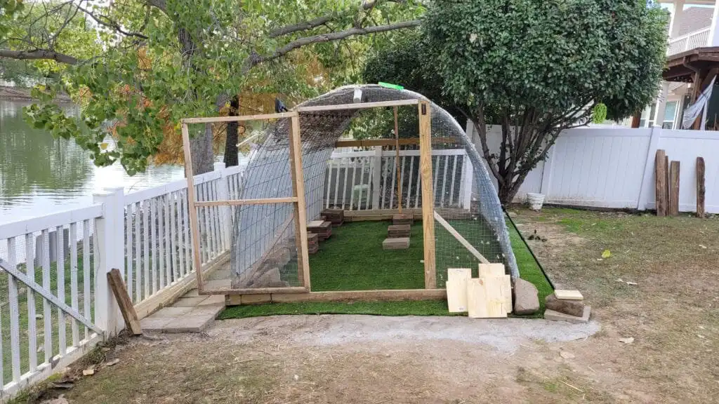 duck run with artificial turf