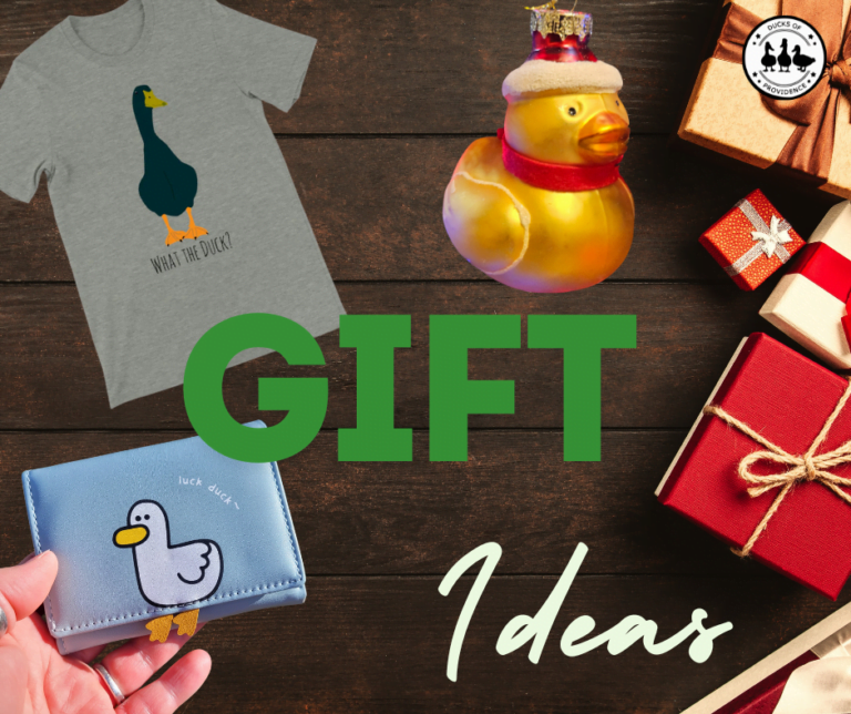 Gift Ideas for Duck Lovers