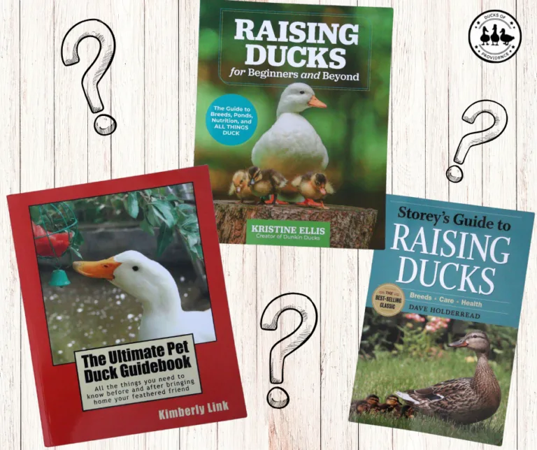 essential duck books