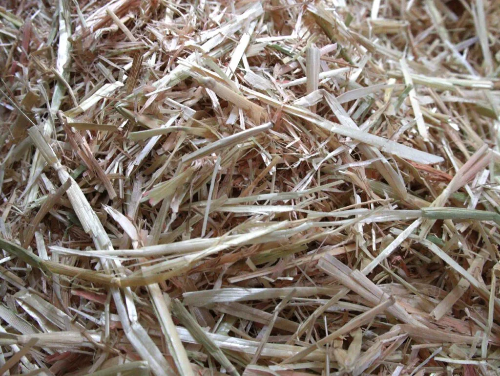 straw as bedding for ducks