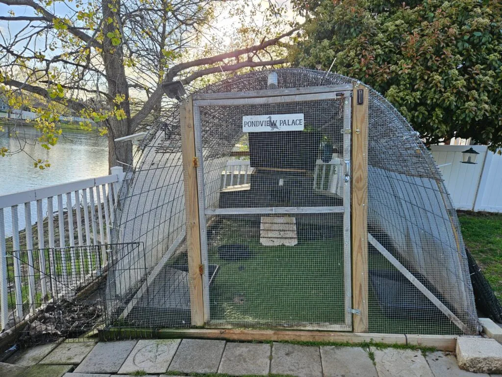 predator proof hoop coop for ducks