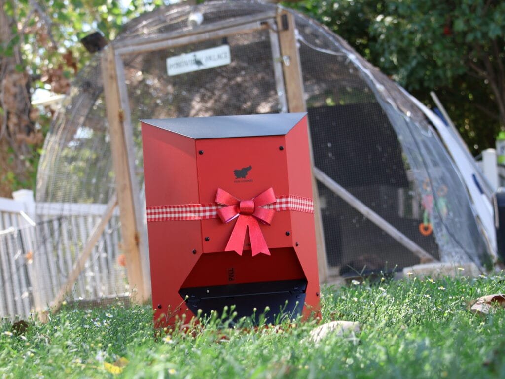 automatic feeder for ducks from run chicken
