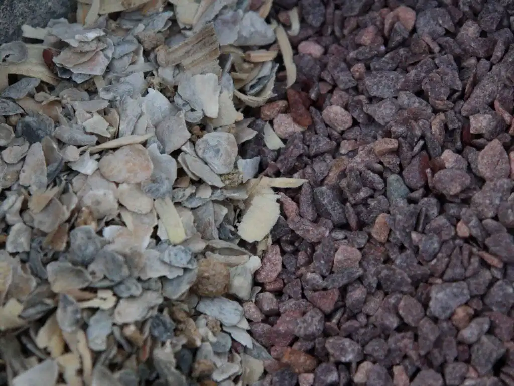 grit vs oyster shells