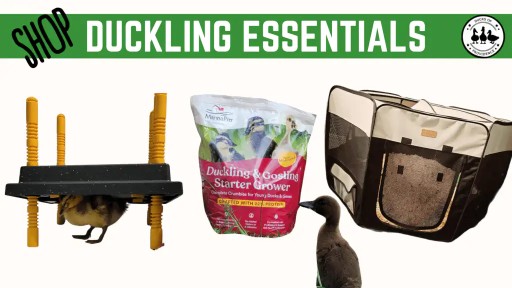 shop ducking essentials - link to amaozn storefront