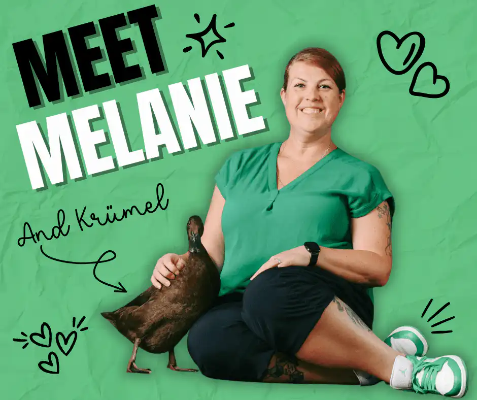 meet Melanie the face behind ducks of providence