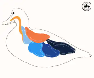 Duck Respiratory System