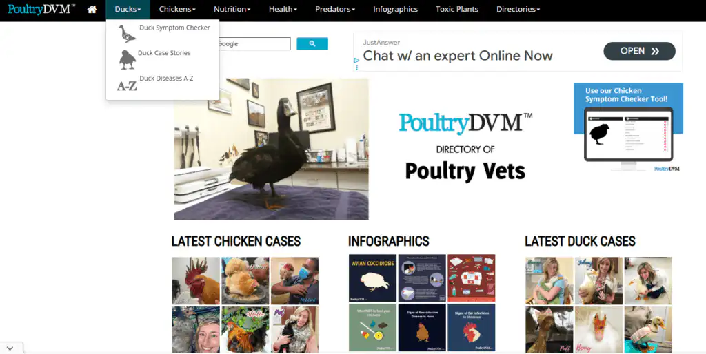Duck DVM Website