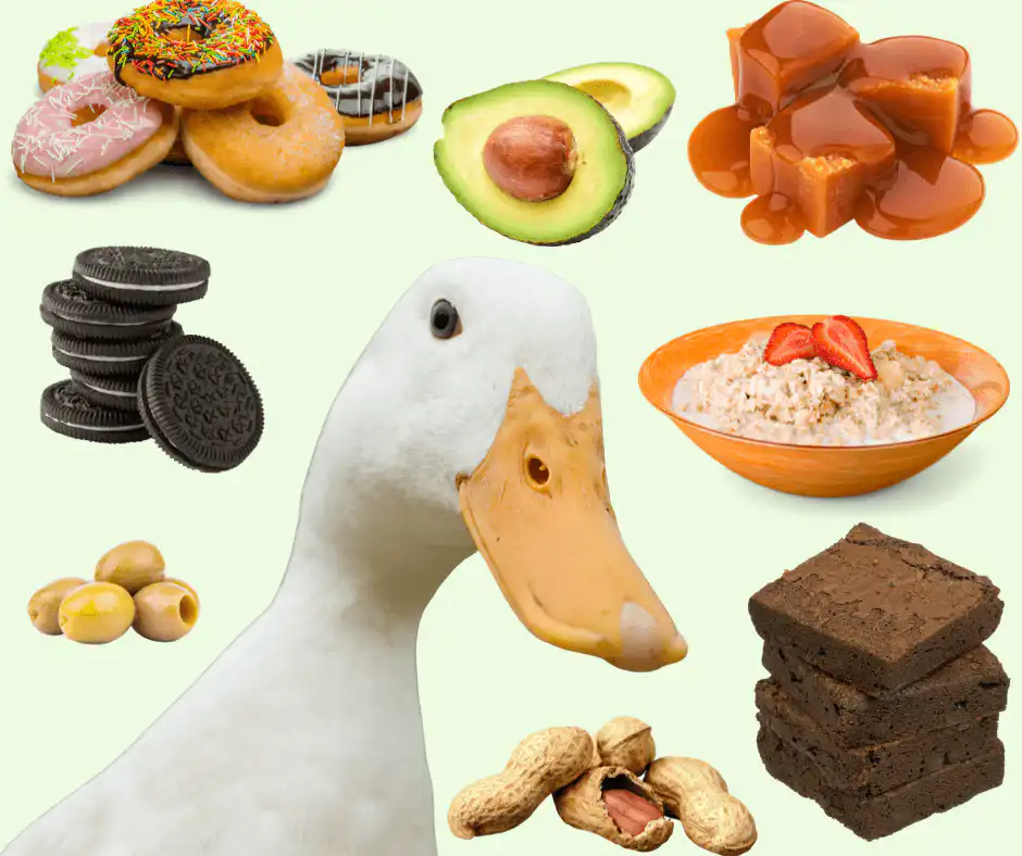 duck names inspired by food
