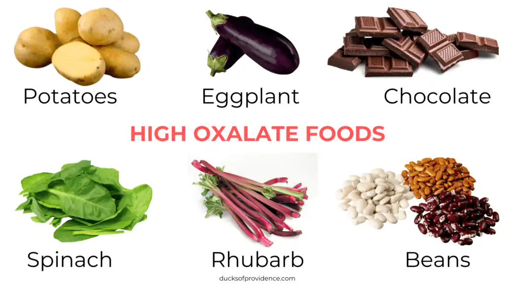 high oxalic foods to avoid for ducks