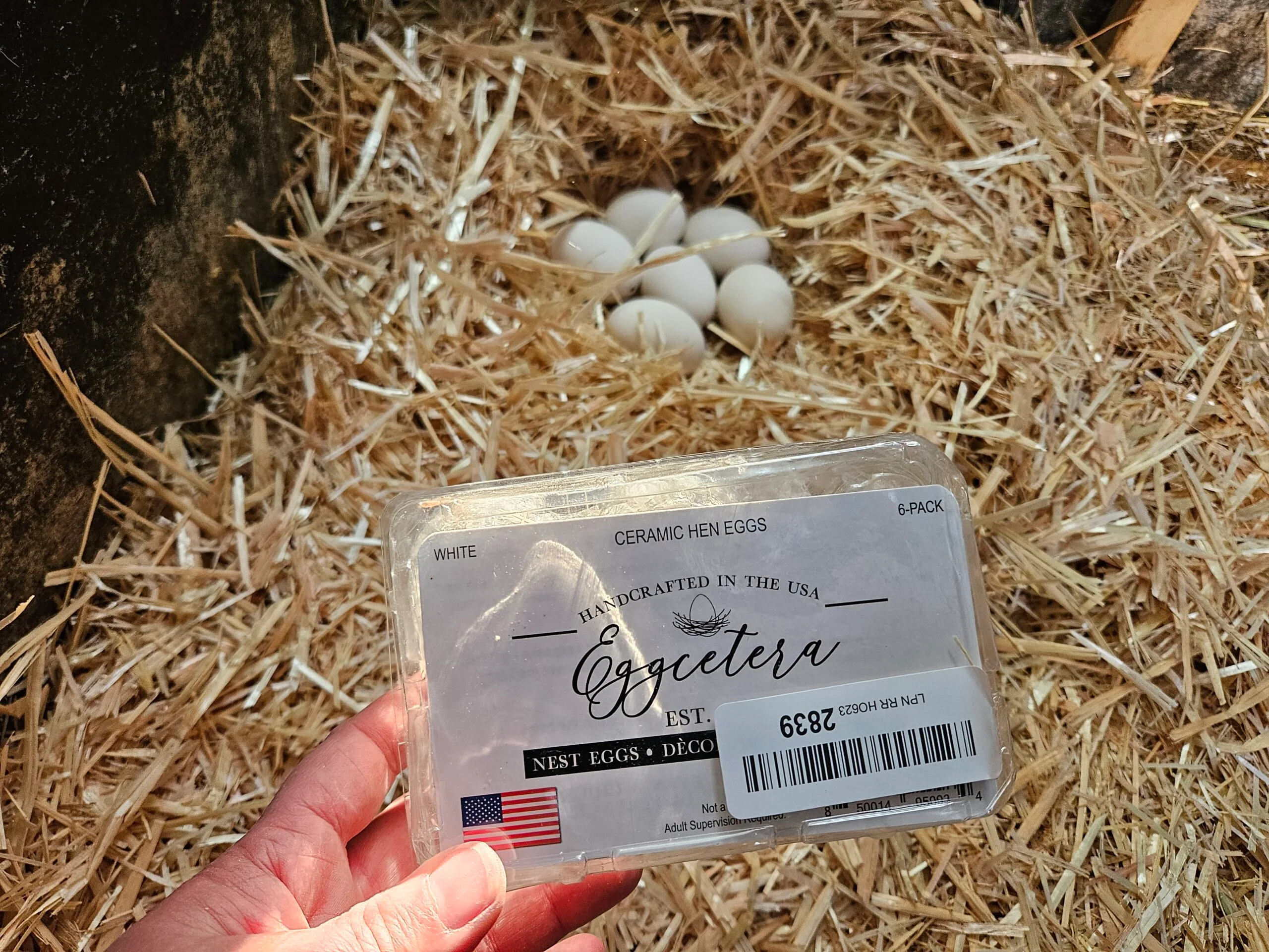 ceramic eggs