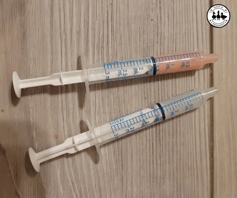 safely medicating ducks