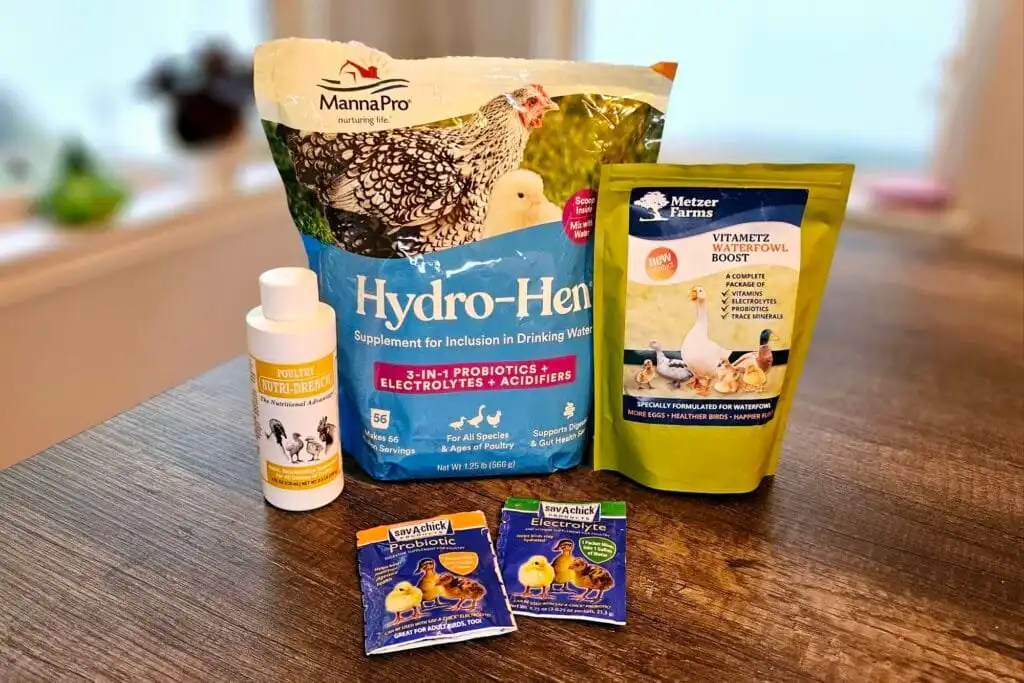 electrolytes for Duck predator attack emergency care