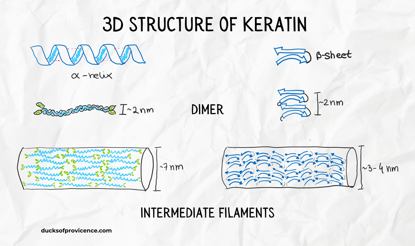 Keratin