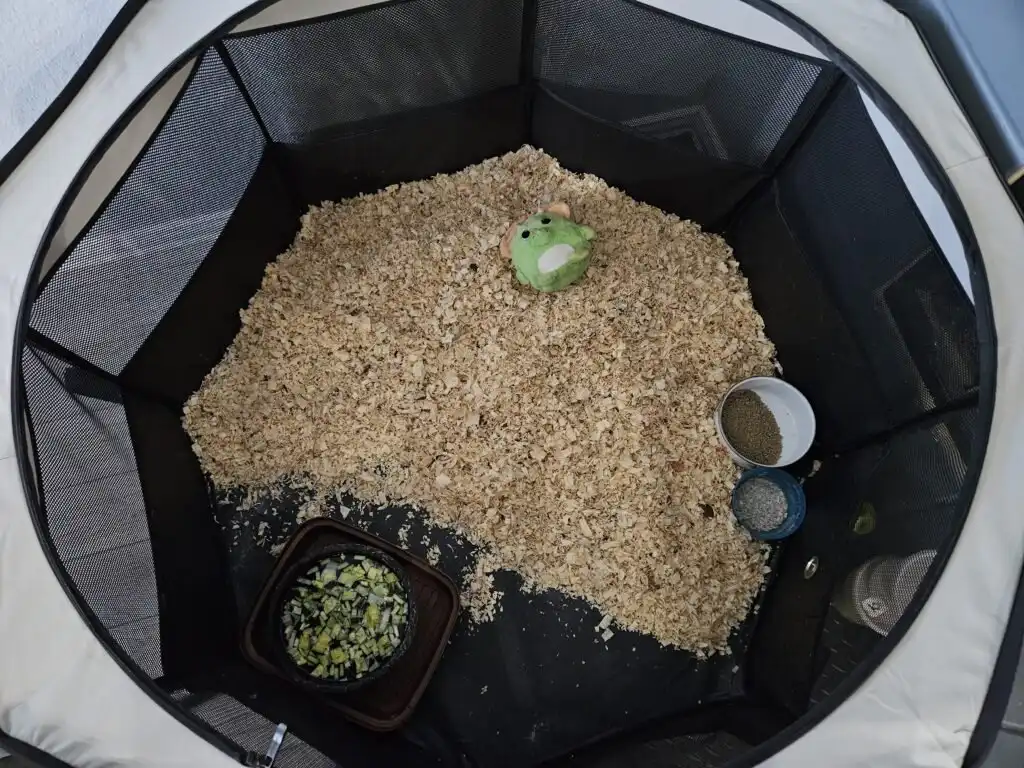 setup for indoor pet ducks