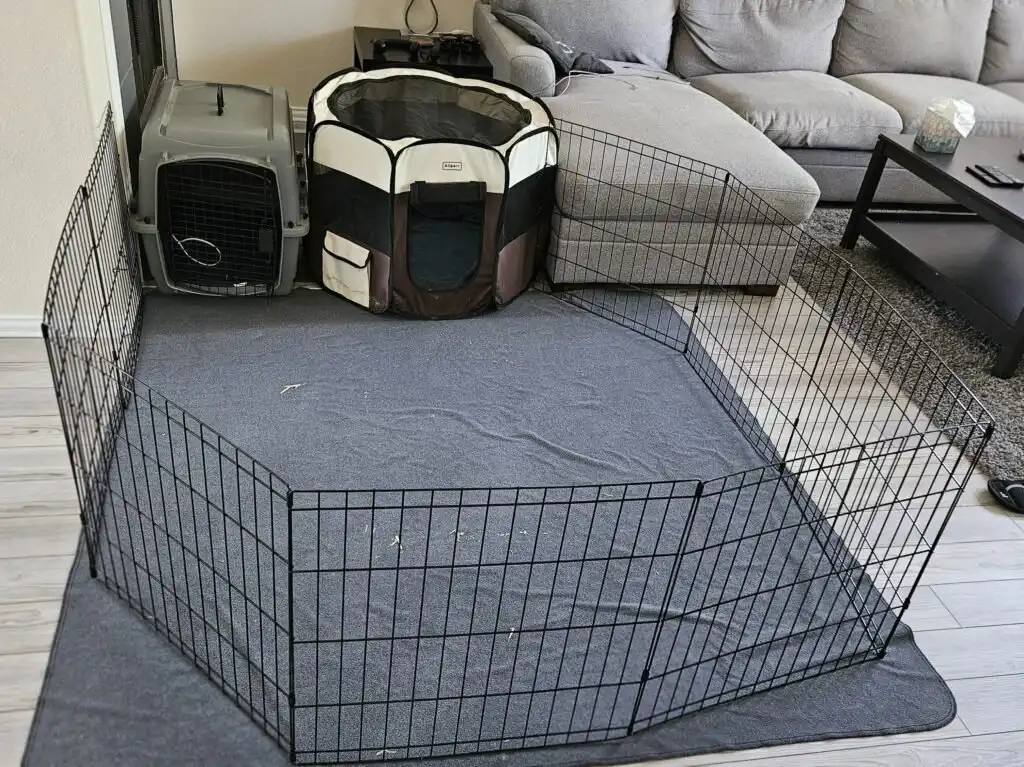 setup for indoor pet ducks