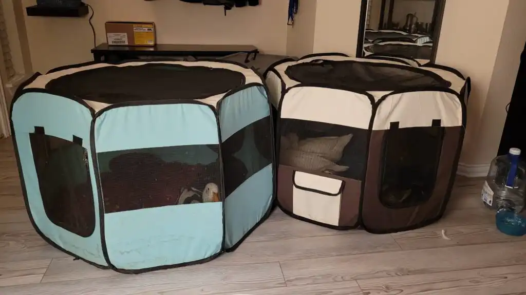 setup for indoor pet ducks