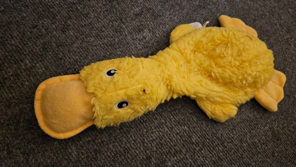 toy for pet duck