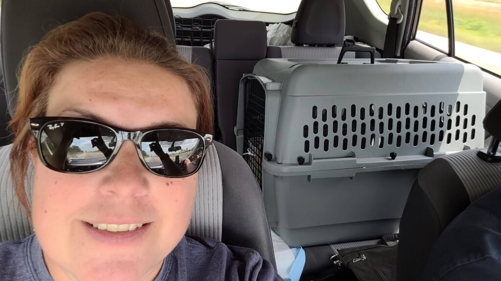 travel with a pet duck