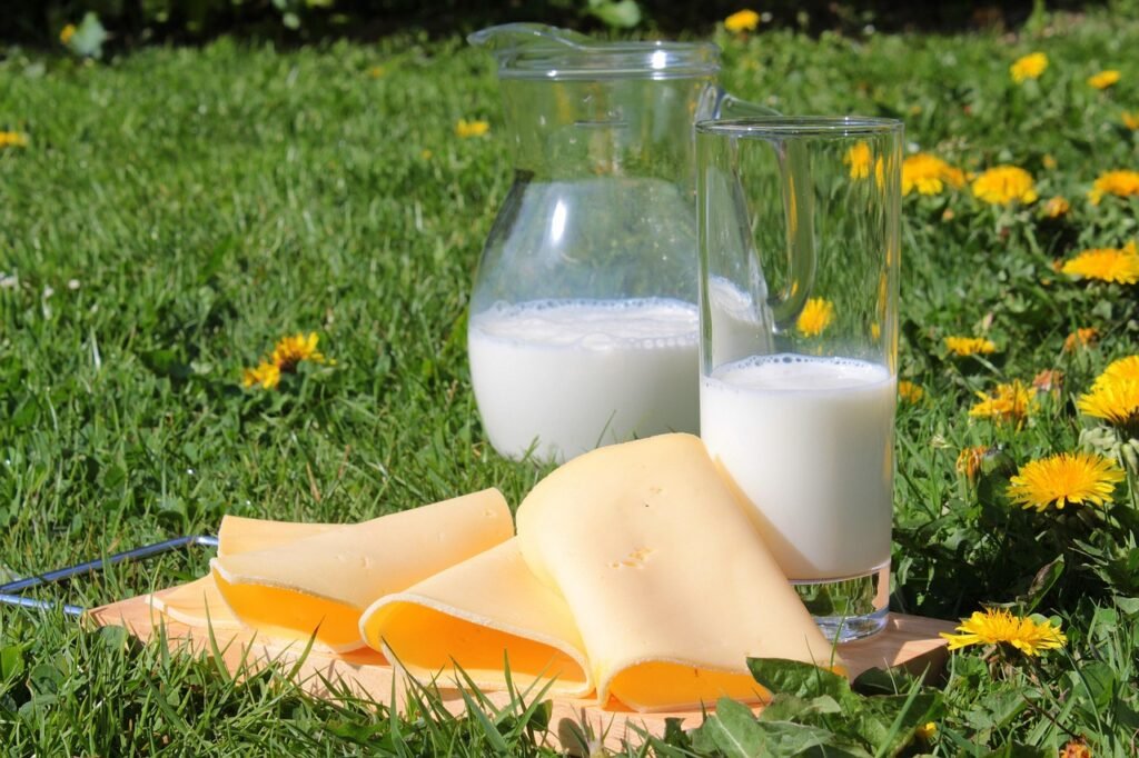 milk and cheese - duck nutrition myths